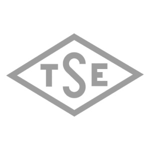 tse.webp